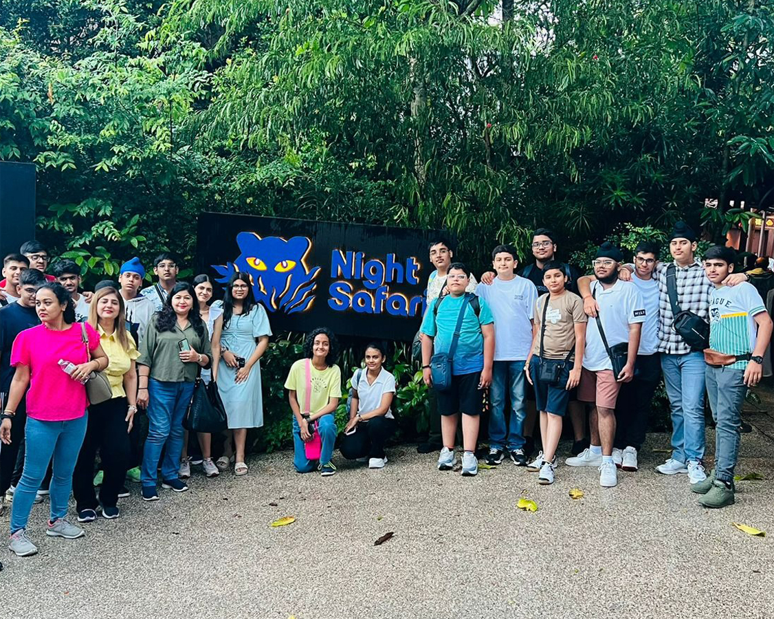 domsetic copy domsetic copy