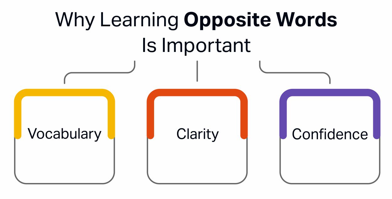 Why Learning Opposite Words Is Important