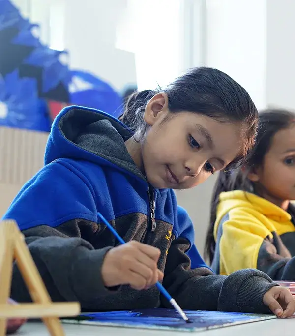 Skill-Ed Programmes